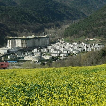Sarot Thermal Vadi Tatil Koyu - Halal Hotel 博卢 外观 照片